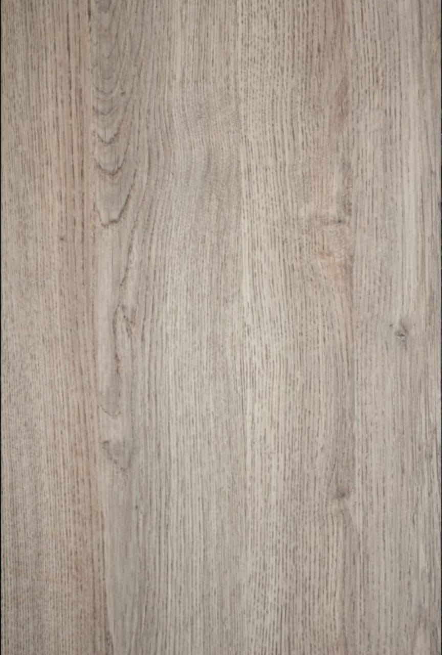 ROBLE AYU